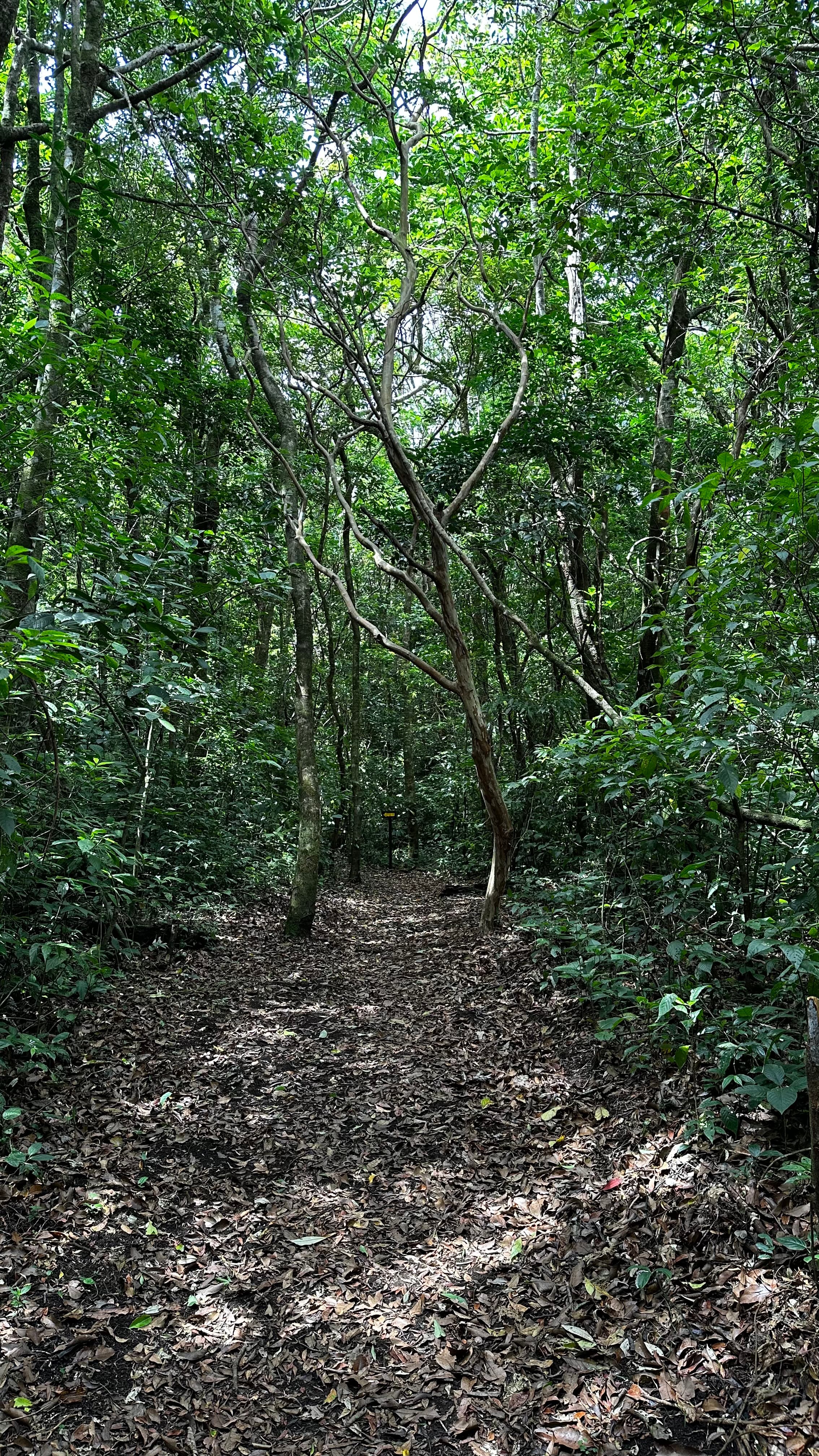 Caminata ecologica